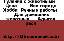 Гуляний с животными › Цена ­ 70 - Все города Хобби. Ручные работы » Для домашних животных   . Адыгея респ.